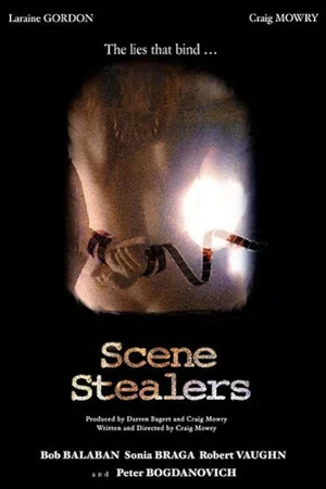 Постер: Scene Stealers