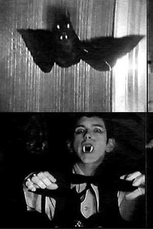 Постер: Frankenstein Meets Dracula