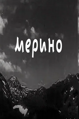 Постер: Merino