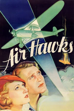 Постер: Air Hawks