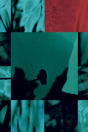 Постер: Disorient
