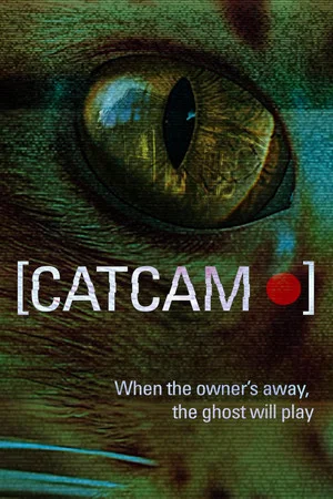 Постер: Cat Cam