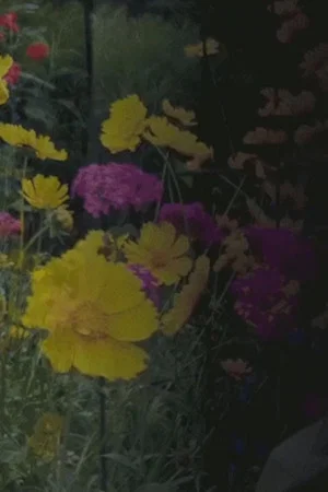 Постер: Three Moons