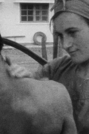 Постер: Nursing History