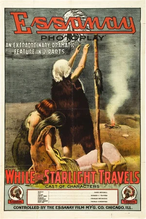 Постер: While the Starlight Travels