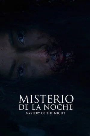 Постер: Mystery of the Night