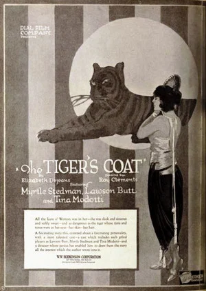 Постер: The Tiger's Coat