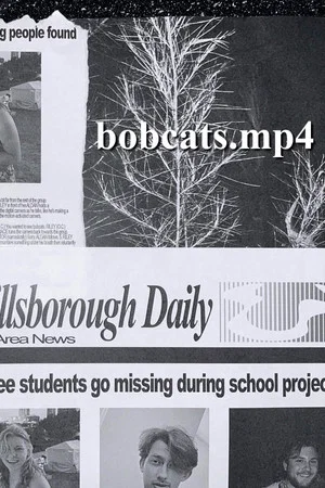 Постер: bobcats.mp4