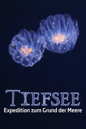 Постер: Fascination of the Deep Sea