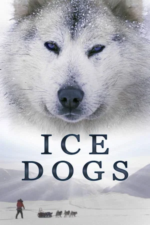 Постер: Ice Dogs: The Only Companions Worth Having