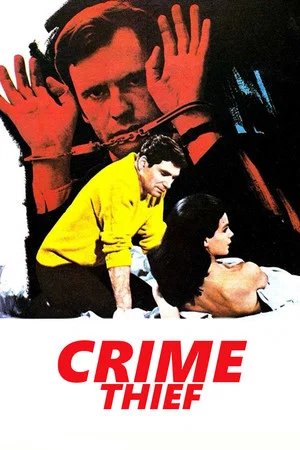 Постер: Crime Thief
