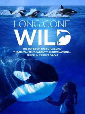 Постер: Long Gone Wild