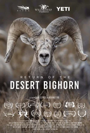 Постер: Return of the Desert Bighorn