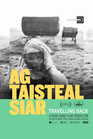 Постер: Travelling Back