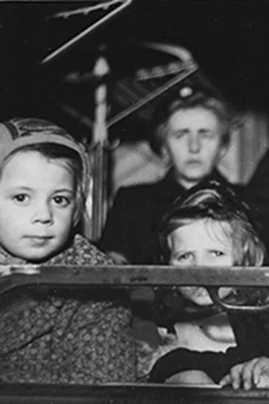 Постер: Report on the Refugee Situation