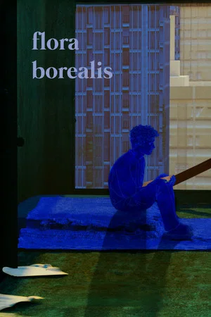 Постер: Flora Borealis