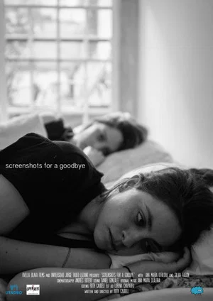 Постер: Screenshots for a Goodbye