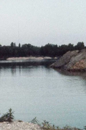 Постер: Les Ronds dans l'eau
