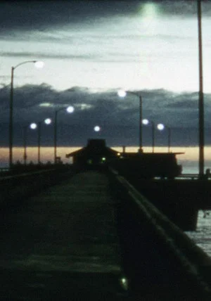 Постер: Venice Pier
