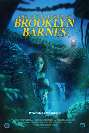 Постер: The Adventures of Brooklyn Barnes