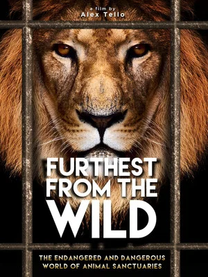 Постер: Furthest from the Wild