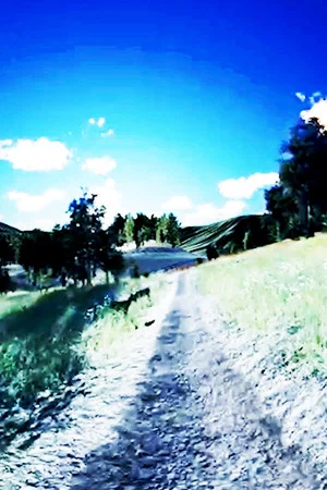 Постер: life/like