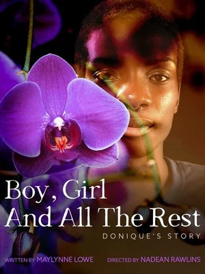 Постер: Boy, Girl and All the Rest