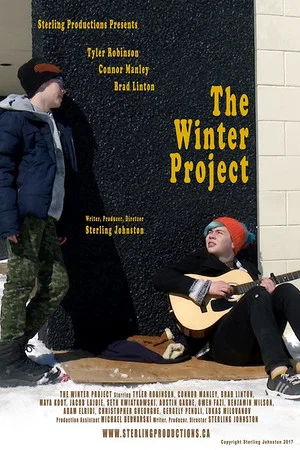 Постер: The Winter Project