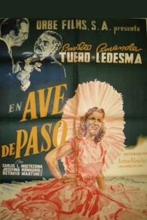 Постер: Ave de paso