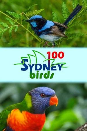 Постер: 100 Sydney Birds