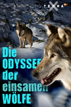 Постер: Die Odyssee der einsamen Wölfe