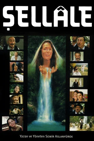Постер: The Waterfall