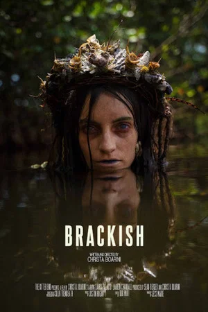 Постер: Brackish