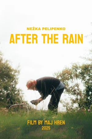 Постер: After The Rain