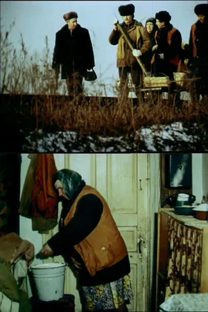 Постер: Сон среди бела дня