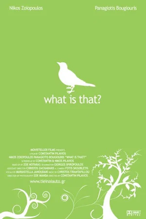 Постер: What Is That?