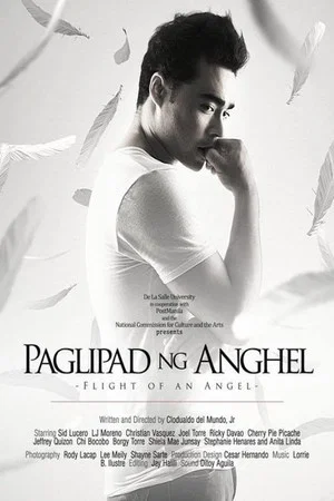 Постер: Flight of an Angel