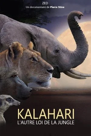 Постер: Kalahari, l'autre loi de la jungle