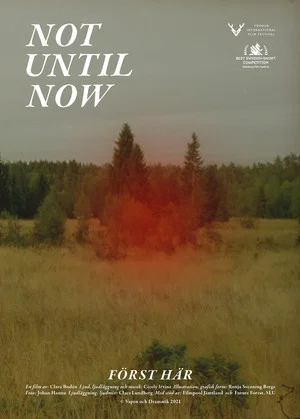 Постер: Not Until Now