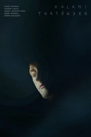 Постер: Something Must Happen