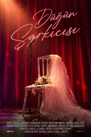Постер: The Wedding Singer