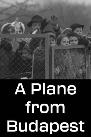 Постер: A Plane from Budapest