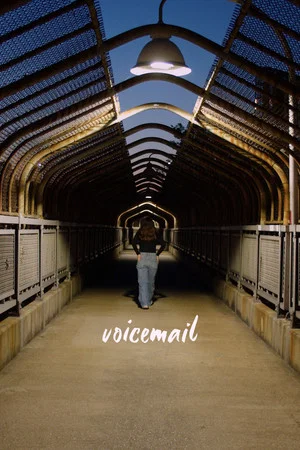 Постер: voicemail