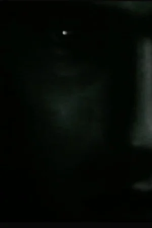 Постер: Imperfect