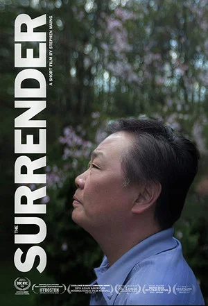 Постер: The Surrender