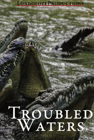 Постер: Troubled Waters