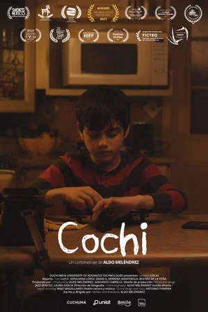 Постер: Cochi