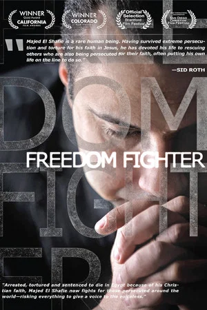 Постер: Freedom Fighter