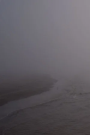Постер: Niebla