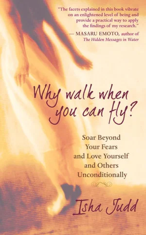Постер: Why Walk When You Can Fly? The Movie